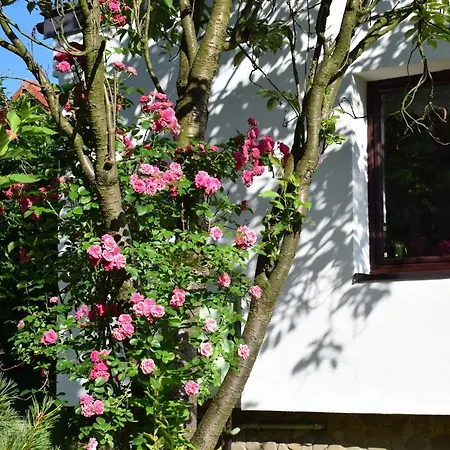 Apartament Otoczak Brenna