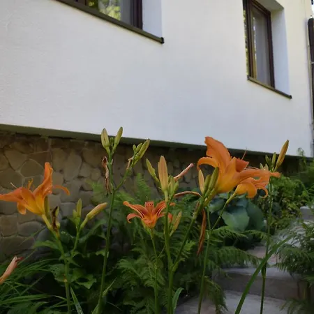 Otoczak Apartment
