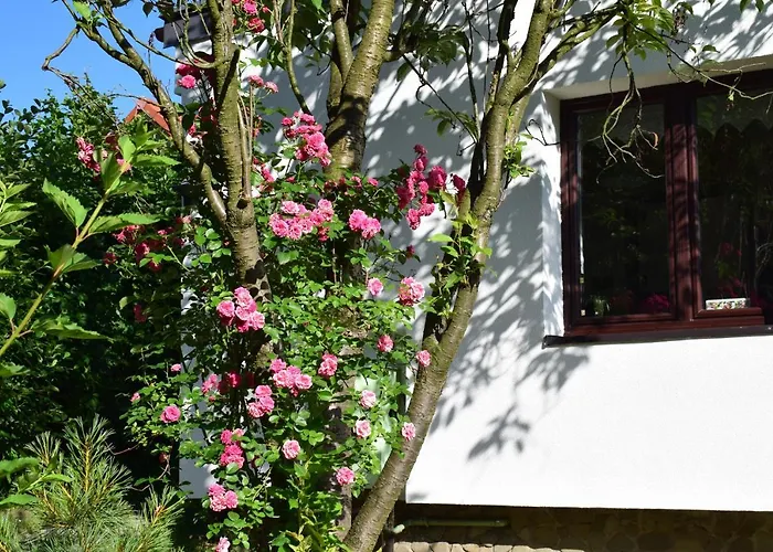 Apartmán Otoczak Brenna